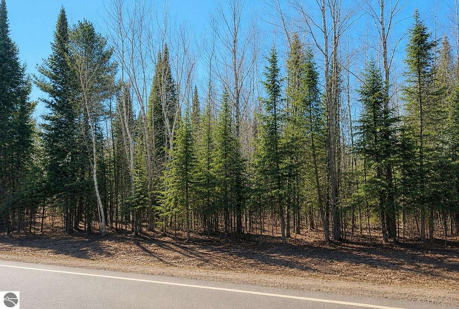 2.79 Acres of Land for Sale in Kingsley, Michigan