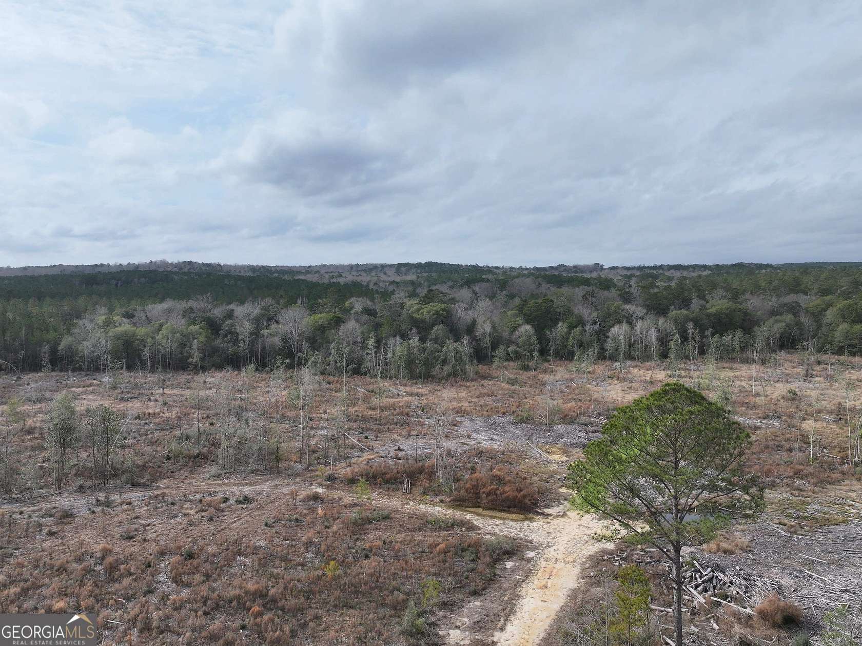 35 Acres of Recreational Land for Sale in Elba, Alabama