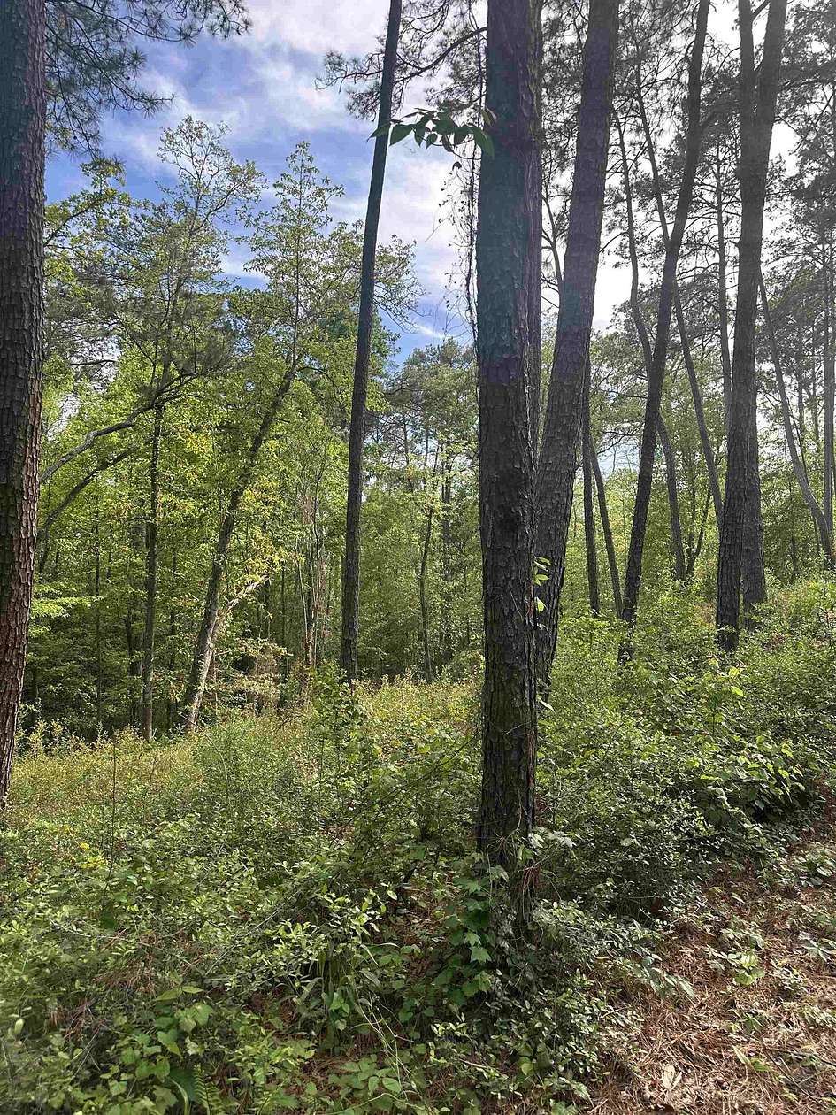 1.8 Acres of Residential Land for Sale in Brookeland, Texas