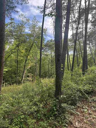 1.8 Acres of Residential Land for Sale in Brookeland, Texas