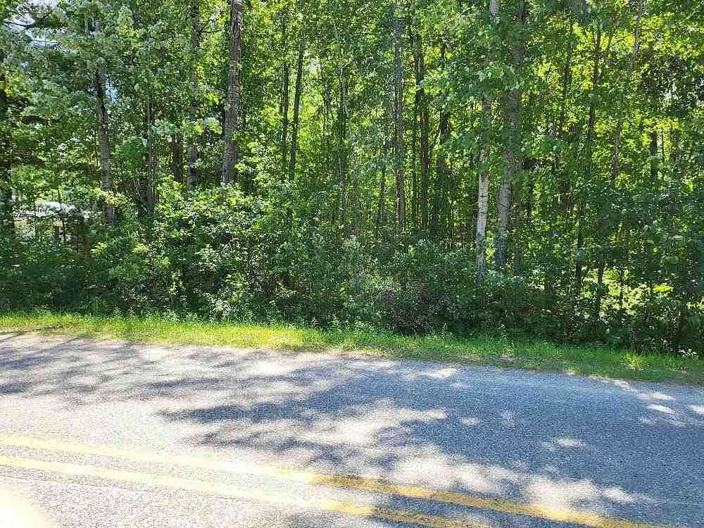 1.1 Acres of Land for Sale in Gladwin, Michigan