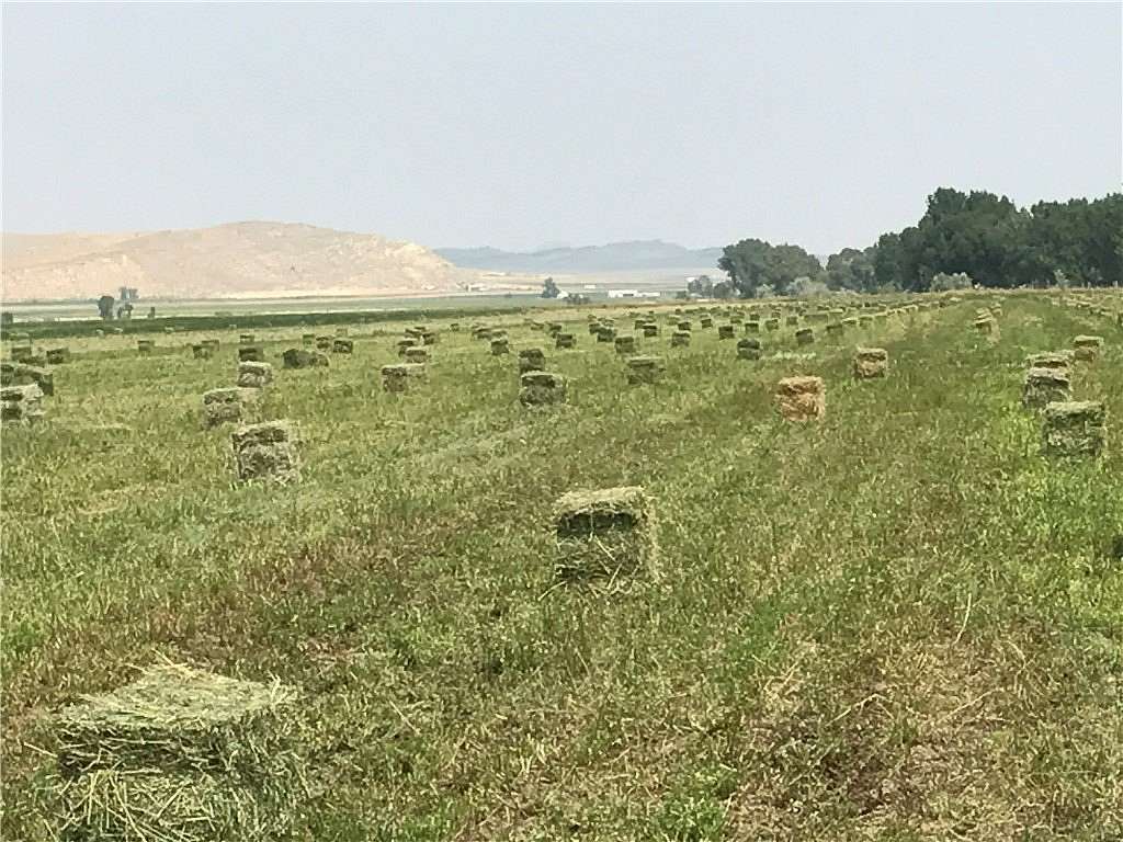 40 Acres of Agricultural Land for Sale in Bridger, Montana