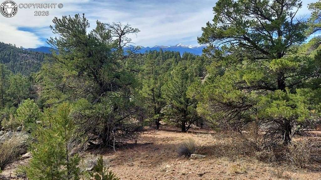7.29 Acres of Land for Sale in Cotopaxi, Colorado