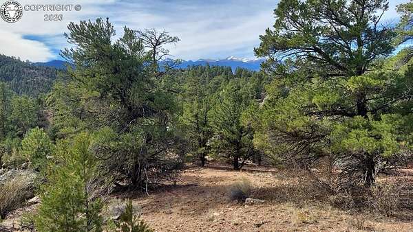 7.29 Acres of Land for Sale in Cotopaxi, Colorado