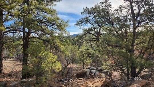 7.29 Acres of Residential Land for Sale in Cotopaxi, Colorado