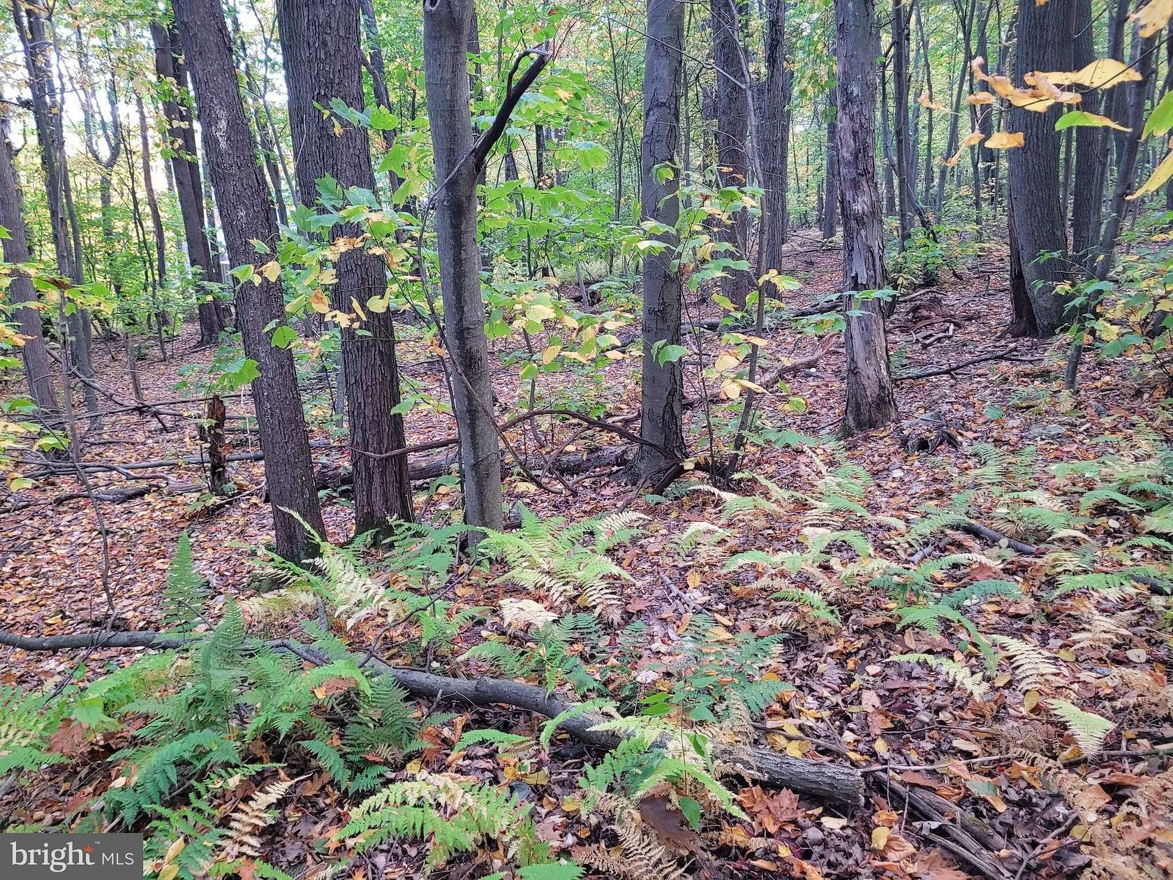 0.29 Acres of Land for Sale in Claysburg, Pennsylvania