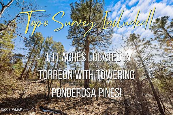 1.1 Acres of Residential Land for Sale in Show Low, Arizona