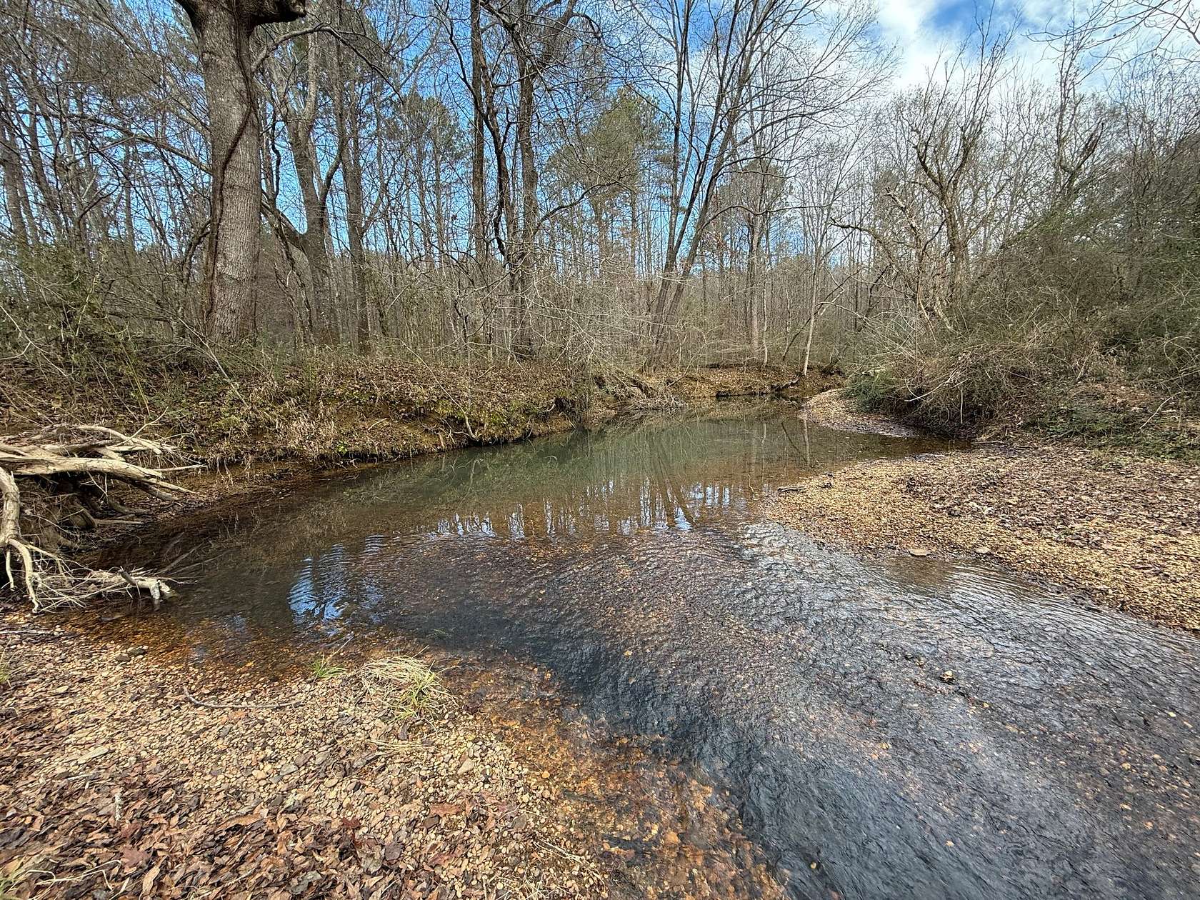 104 Acres of Recreational Land for Sale in Eldridge, Alabama