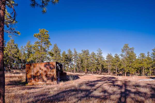 45 Acres of Land for Sale in Weston, Colorado