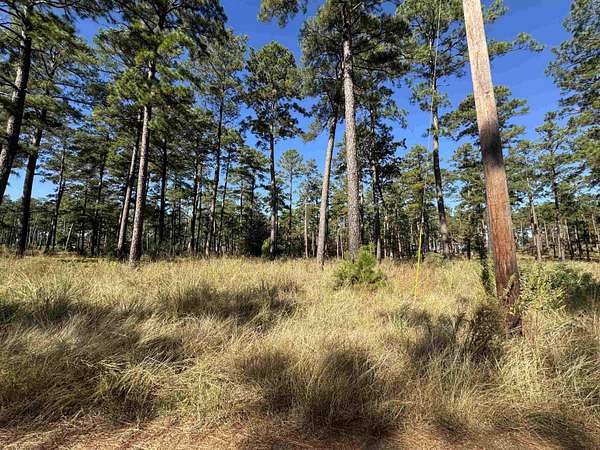 1.3 Acres of Residential Land for Sale in Brookeland, Texas