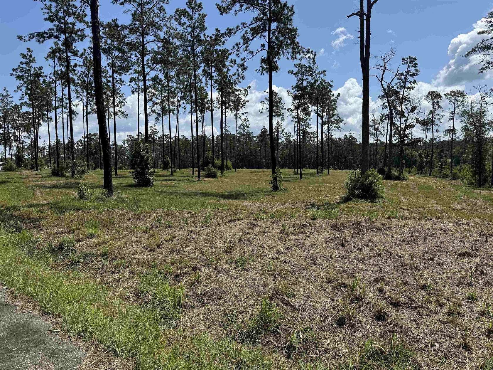 1 Acre of Residential Land for Sale in Brookeland, Texas