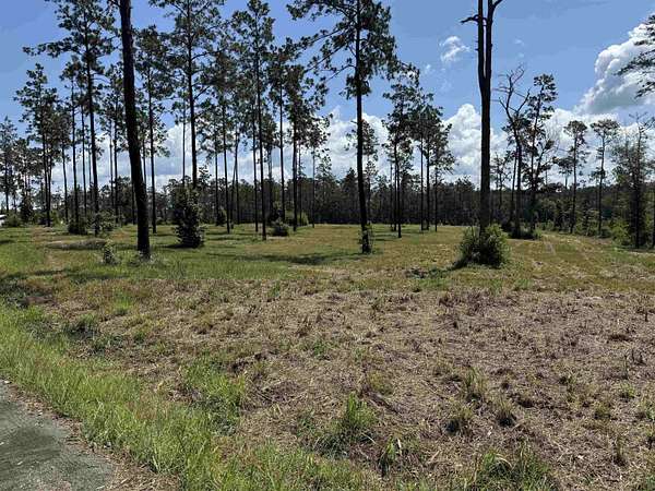 1 Acre of Residential Land for Sale in Brookeland, Texas