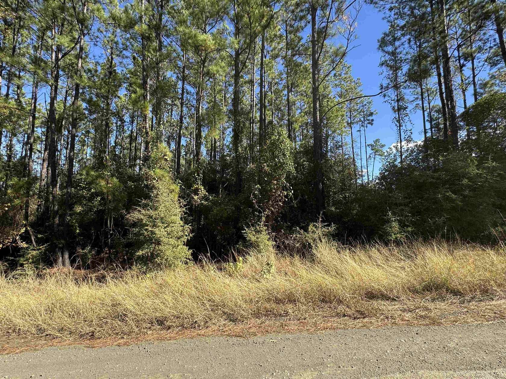 1 Acre of Residential Land for Sale in Brookeland, Texas