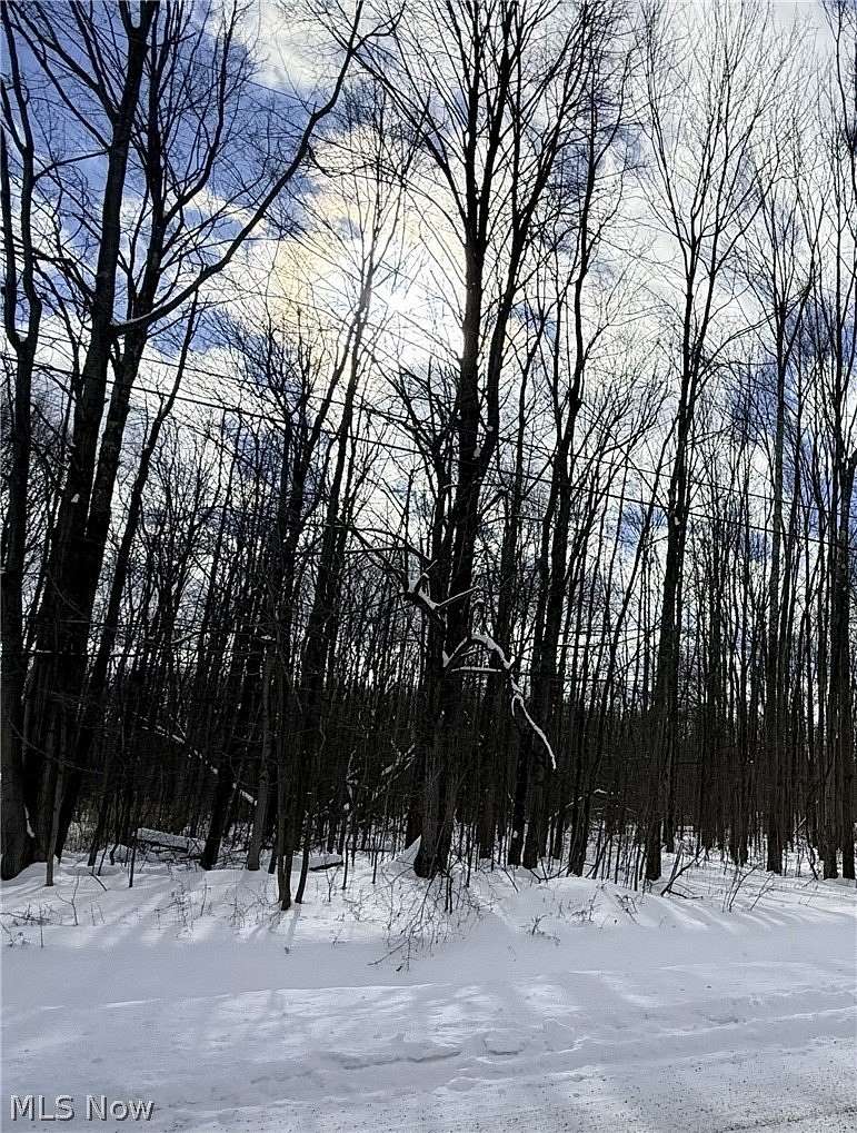 3.79 Acres of Residential Land for Sale in Jefferson, Ohio