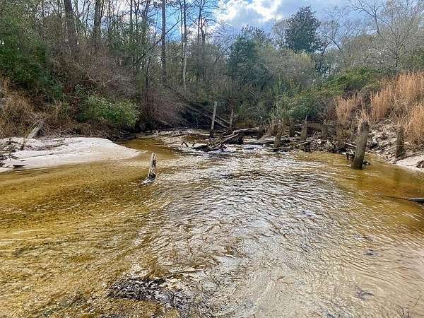 78.2 Acres of Recreational Land & Farm for Sale in Picayune, Mississippi