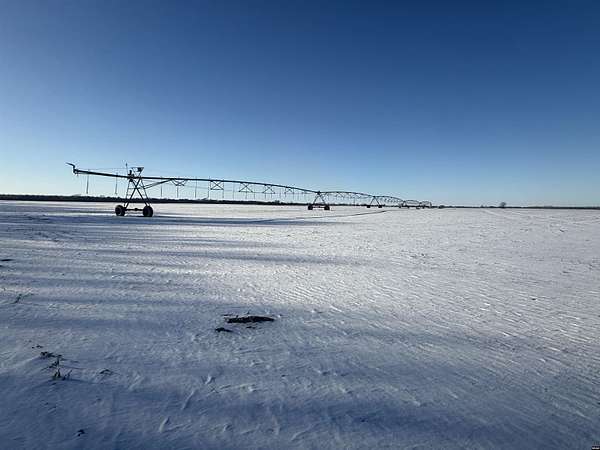 127 Acres of Agricultural Land for Sale in Tiptonville, Tennessee