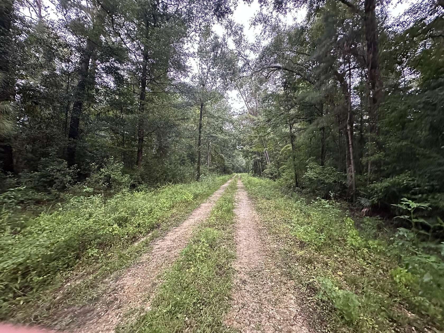 0.5 Acres of Residential Land for Sale in Wewahitchka, Florida