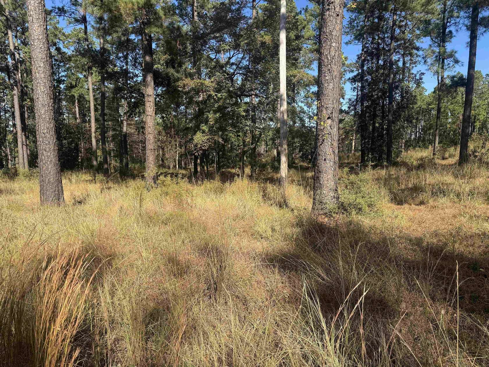 1 Acre of Residential Land for Sale in Brookeland, Texas