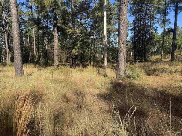 1 Acre of Residential Land for Sale in Brookeland, Texas