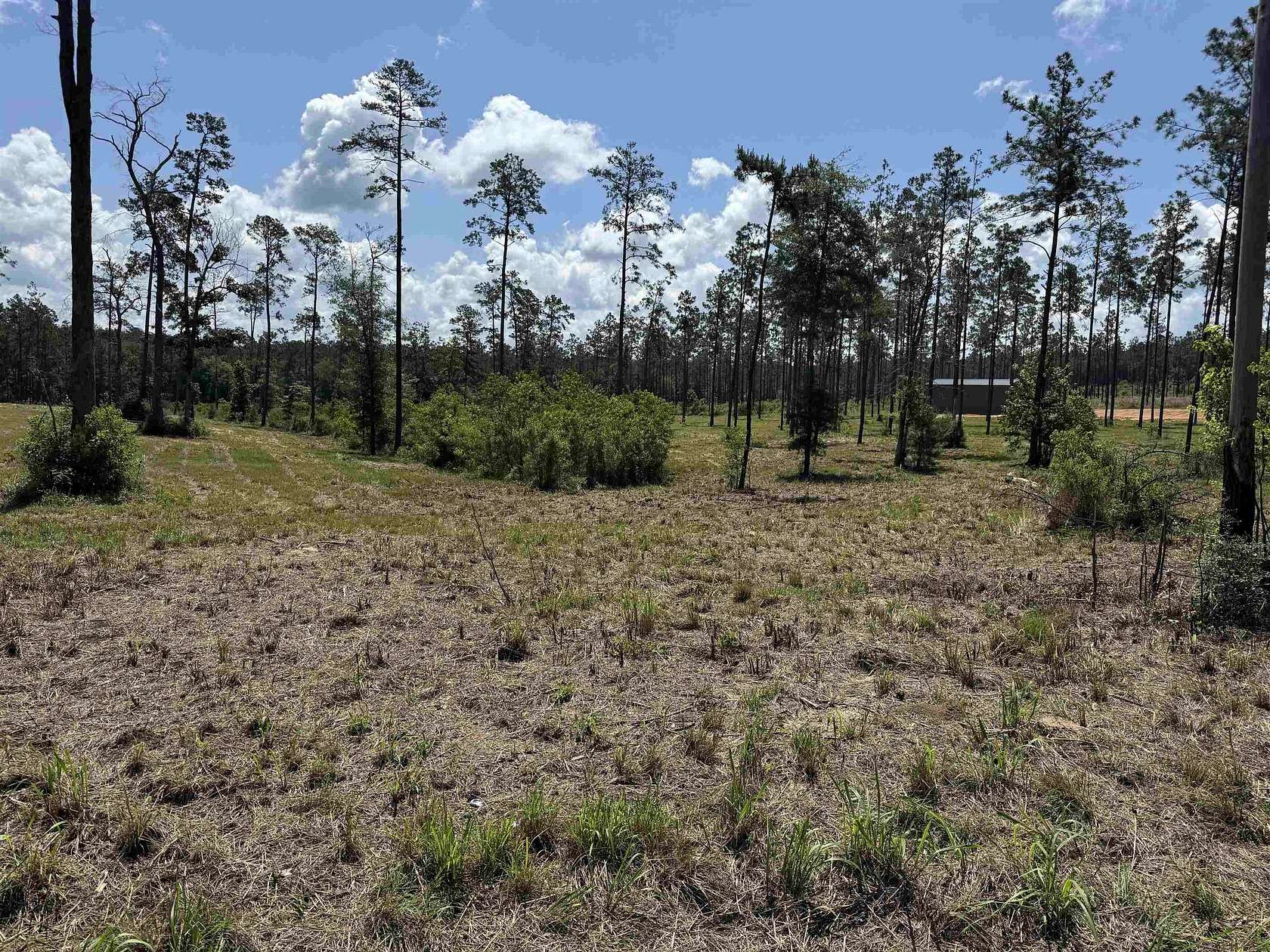 1 Acre of Residential Land for Sale in Brookeland, Texas