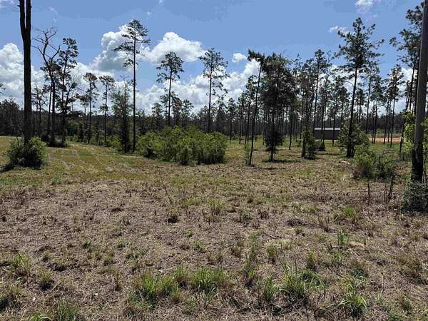 1 Acre of Residential Land for Sale in Brookeland, Texas