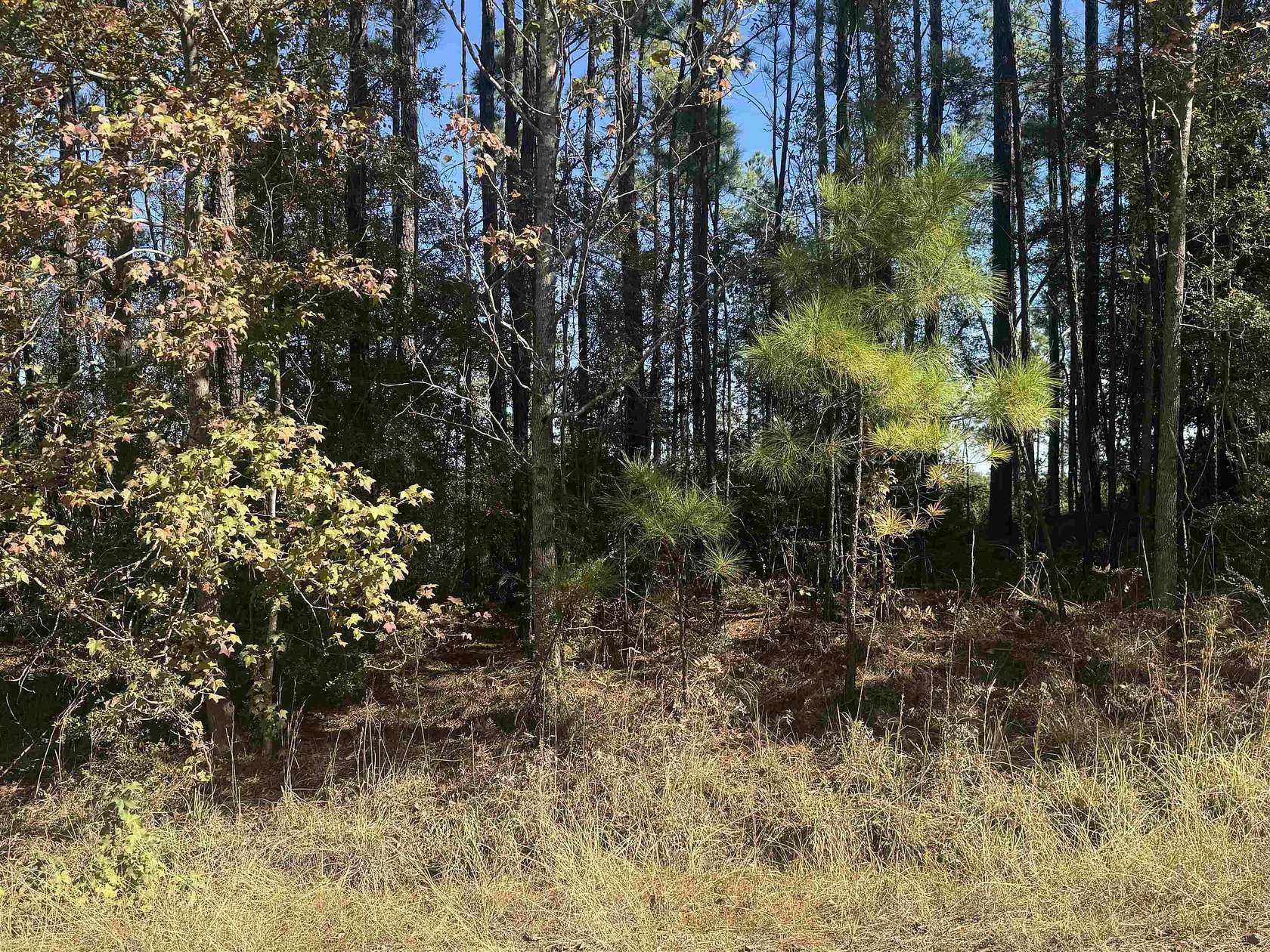 1 Acre of Residential Land for Sale in Brookeland, Texas