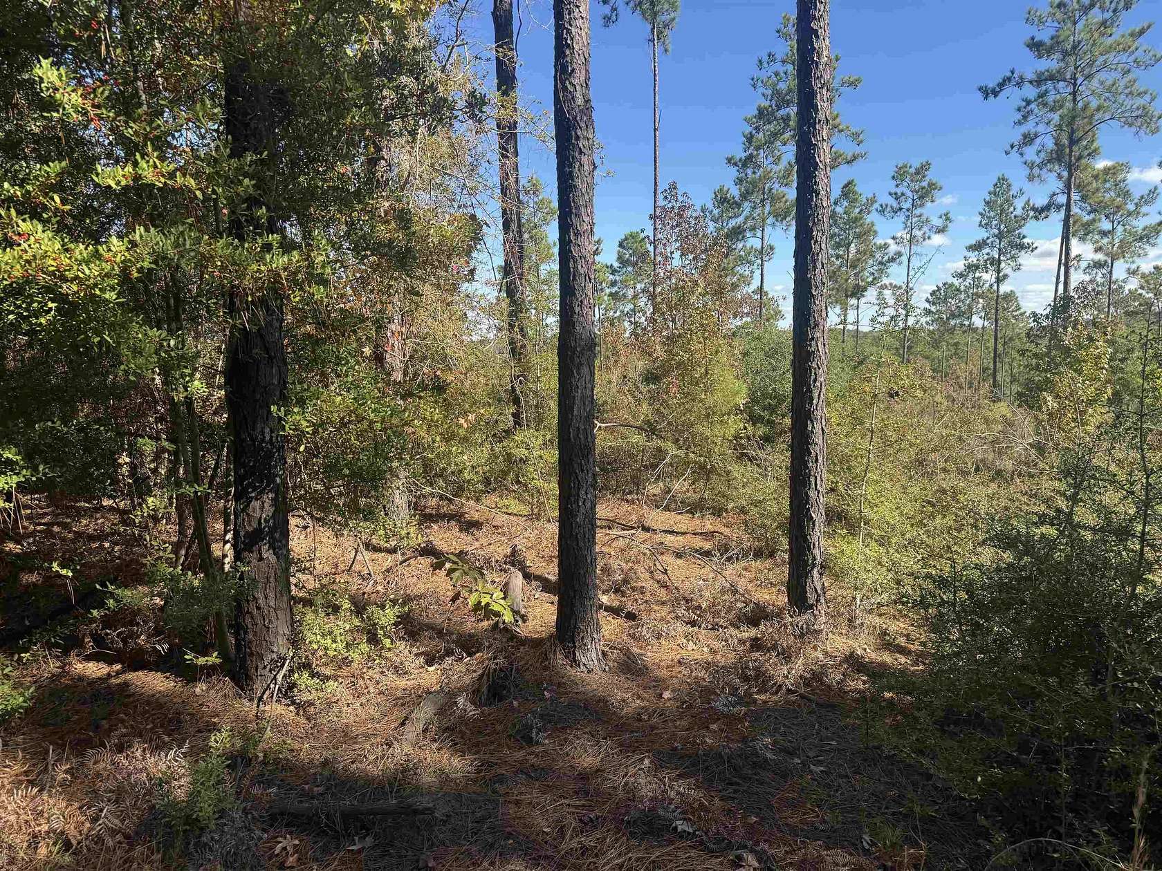 1 Acre of Residential Land for Sale in Brookeland, Texas
