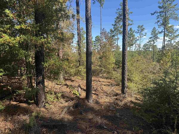 1 Acre of Residential Land for Sale in Brookeland, Texas