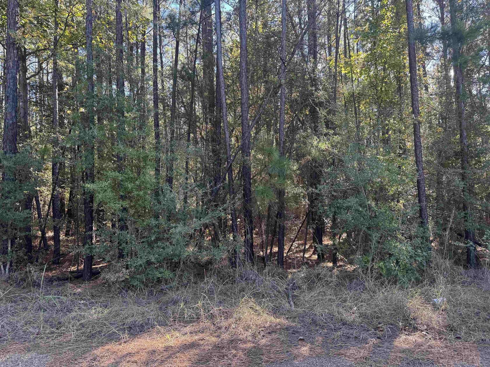 1 Acre of Residential Land for Sale in Brookeland, Texas