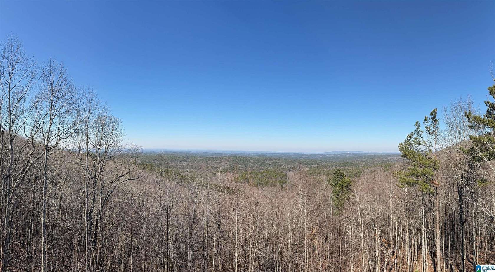 6.62 Acres of Residential Land with Home for Sale in Lineville, Alabama