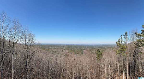 6.62 Acres of Residential Land with Home for Sale in Lineville, Alabama