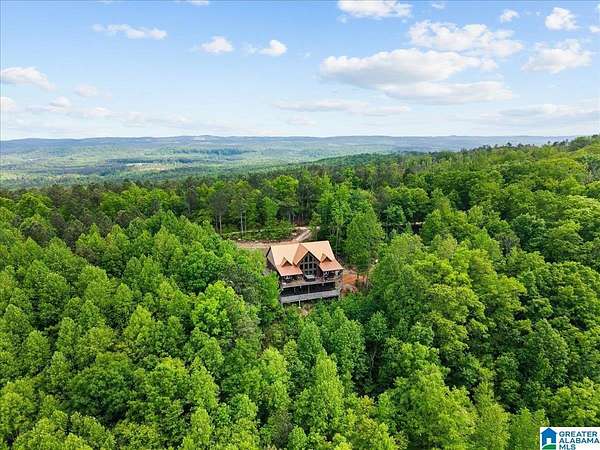 6.62 Acres of Land with Home for Sale in Lineville, Alabama