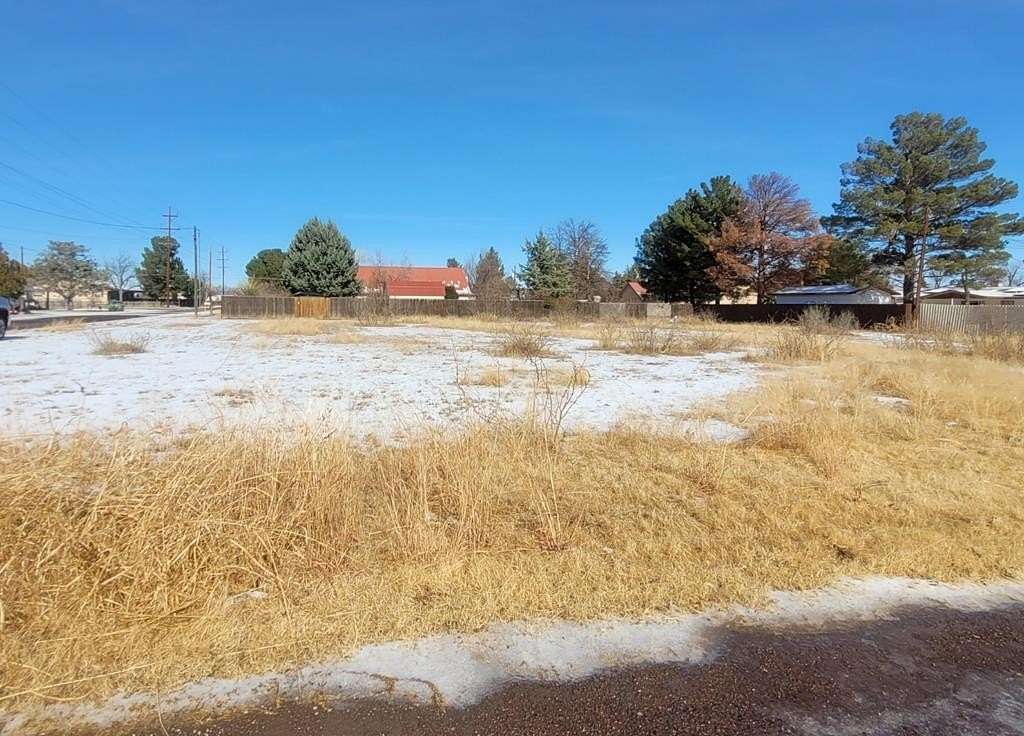 0.44 Acres of Residential Land for Sale in Alpine, Texas