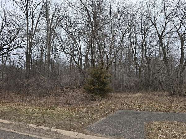 0.8 Acres of Land for Sale in Zimmerman, Minnesota