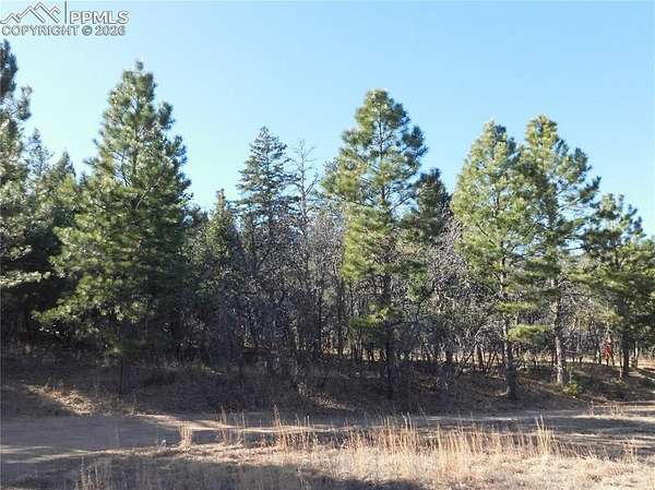 1 Acre of Residential Land for Sale in Larkspur, Colorado