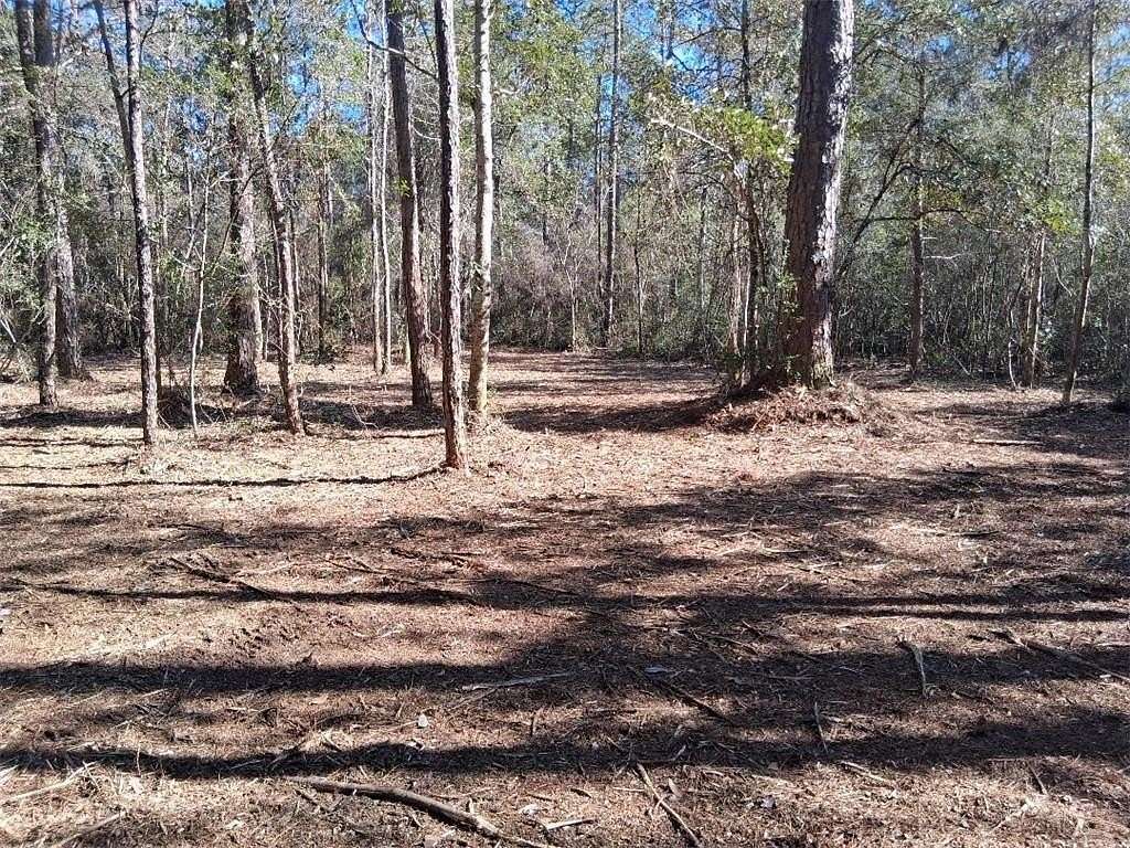 0.55 Acres of Residential Land for Sale in Theodore, Alabama