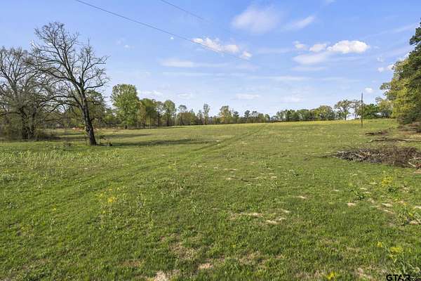 44.5 Acres of Land for Sale in Mount Pleasant, Texas