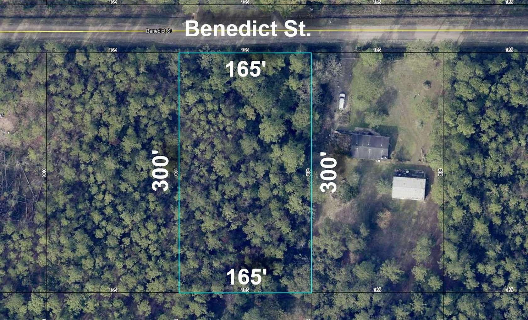 1.14 Acres of Residential Land for Sale in Hastings, Florida