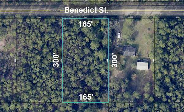 1.14 Acres of Residential Land for Sale in Hastings, Florida
