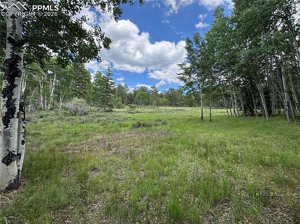 5.3 Acres of Residential Land for Sale in Lake George, Colorado