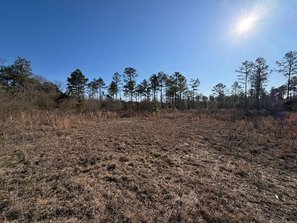 20 Acres of Land for Sale in Troy, Alabama