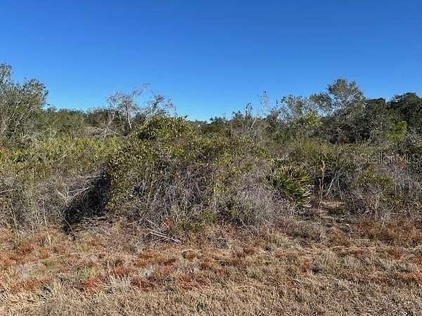 0.22 Acres of Residential Land for Sale in Punta Gorda, Florida