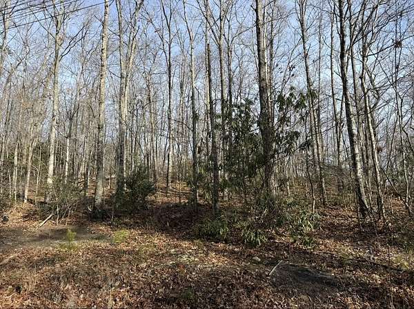 0.52 Acres of Residential Land for Sale in Sevierville, Tennessee