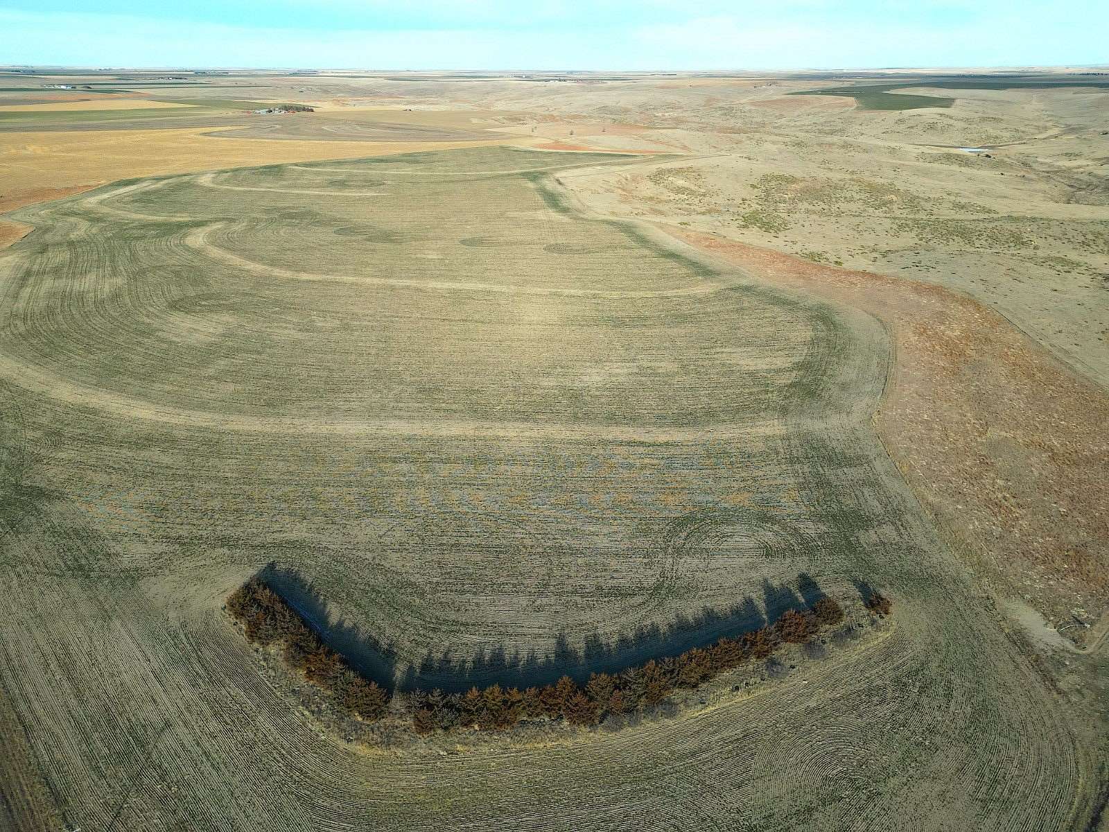 160 Acres of Agricultural Land for Sale in St. Francis, Kansas