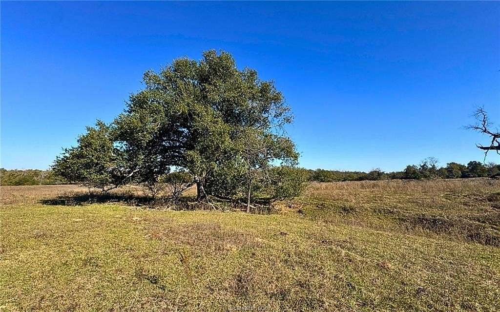 108 Acres of Land for Sale in Franklin, Texas