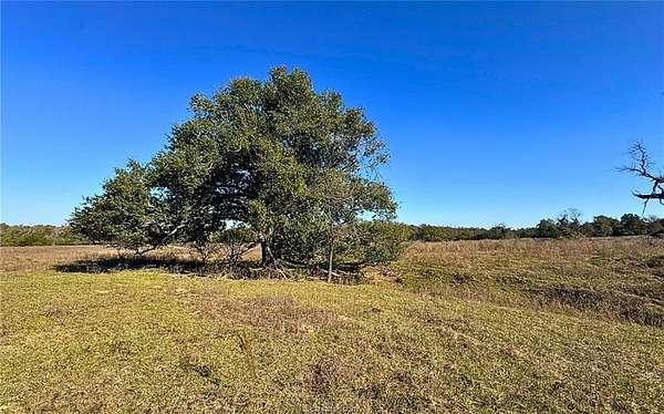 108 Acres of Land for Sale in Franklin, Texas