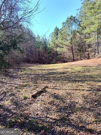 115 Acres of Recreational Land for Sale in Elberton, Georgia