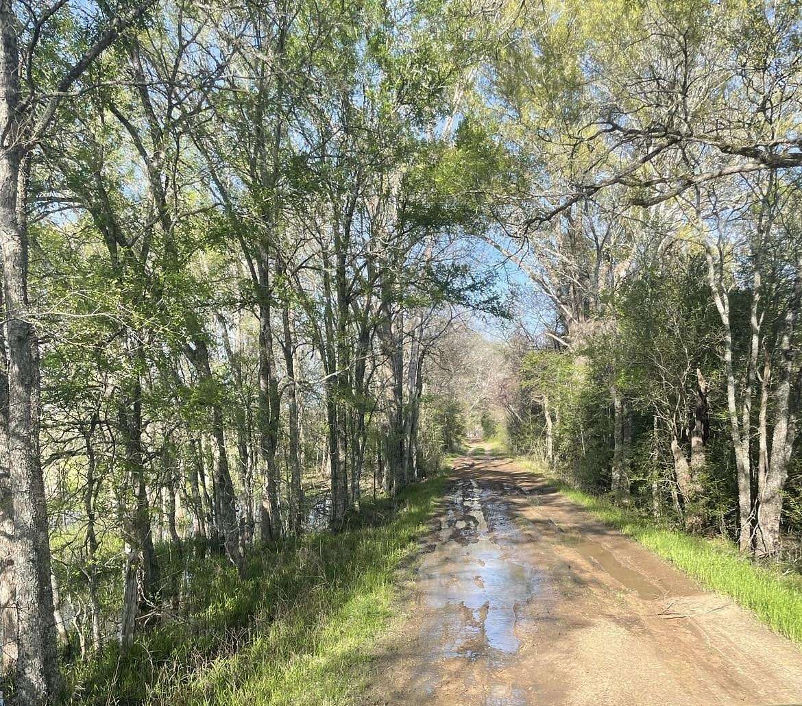 14 Acres of Recreational Land for Sale in Oakwood, Texas