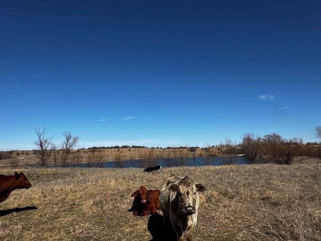 57.3 Acres of Land for Sale in Decatur, Texas