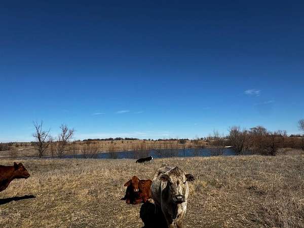 57.3 Acres of Land for Sale in Decatur, Texas